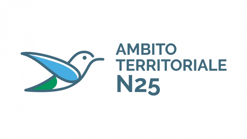 Avviso Pubblico finalizzato all�istruttoria per l�individuazione di Enti del Terzo Settore disponibili alla co progettazione e gestione in partnership del servizio �Centro Antiviolenza Est�a � CAV� dell�Ambito Territoriale N25, ai sensi dell�art. 55 del D.Lgs. 117/2017